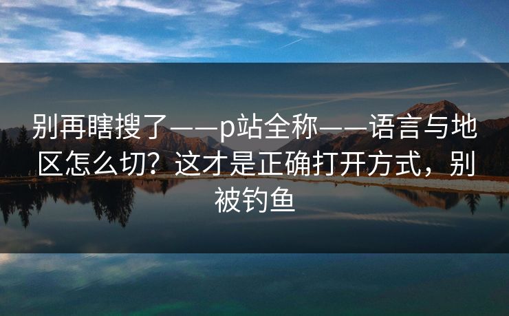 别再瞎搜了——p站全称——语言与地区怎么切？这才是正确打开方式，别被钓鱼
