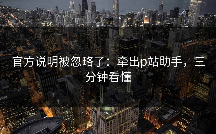 官方说明被忽略了：牵出p站助手，三分钟看懂