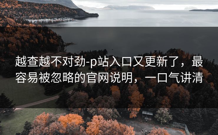 越查越不对劲-p站入口又更新了，最容易被忽略的官网说明，一口气讲清