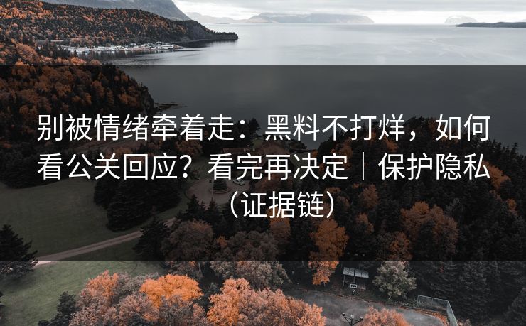 别被情绪牵着走：黑料不打烊，如何看公关回应？看完再决定｜保护隐私（证据链）