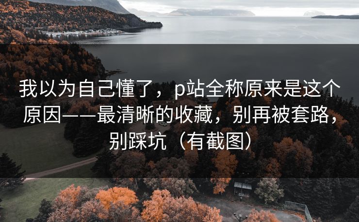 我以为自己懂了，p站全称原来是这个原因——最清晰的收藏，别再被套路，别踩坑（有截图）
